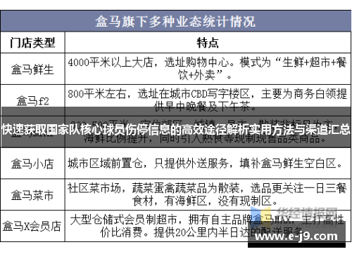 快速获取国家队核心球员伤停信息的高效途径解析实用方法与渠道汇总